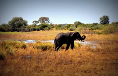 Fâșia Caprivi, Namibia